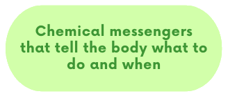 Chemical messengers that tell the body what to do and when