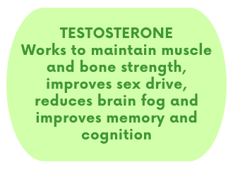 TESTOSTERONE Works to maintain muscle and bone strength, improves sex drive, reduces brain fog and improves memory and cognition